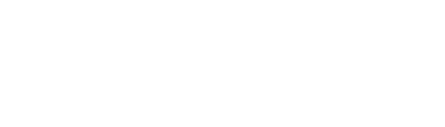 AIPEX Tires